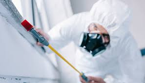 Best Pest Control for Hotels  in Merryville, LA